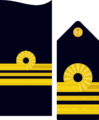 Divipalaarmadaes 21
