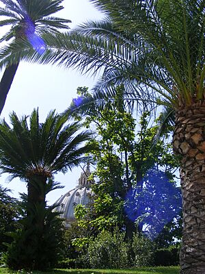 Archivo:Dome of St. Peter's Basilica as seen from the Gardens in Vatican City
