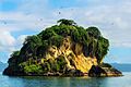 Dominican Republic Los Haitises birds island