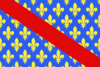 Drapeau fr département Allier.svg