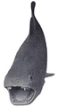 Dunkleosteus