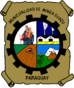 Escudo Minga Guazú.png