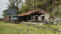 Archivo:Estacion de Trenes Santa Lucia + Tren by Velthov