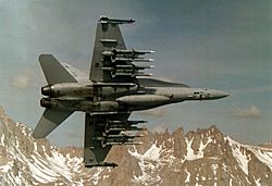 Archivo:FA-18 Hornet VX-4 with 10 AMRAAM