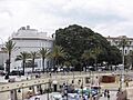 Ficus Facultad de Ciencias Económicas y Empresariales, Universidad de Cádiz