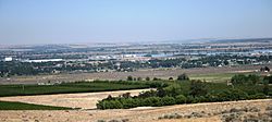 Finley - industrial complexes along Columbia River - orchards in foreground - July 2013.JPG