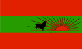 Flag of UNITA