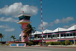 Archivo:Flamingo Airport