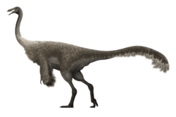 Gallimimus Restoration.png