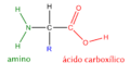 General structure of aminoacids - AA-structure-es