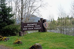 Archivo:Hoh Rain Forest Entrance Sign