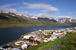 Iceland2008-Sudureyri.JPG