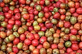 Jocote fruit