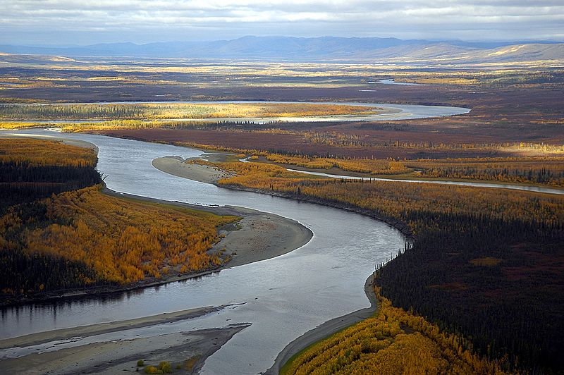 Koyukuk River autumn