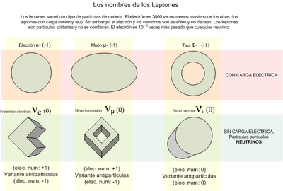 Archivo:Leptones nombres