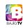 Logo Bajio TV.jpg