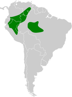 Distribución geográfica del batará perlado.
