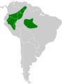 Megastictus margaritatus map