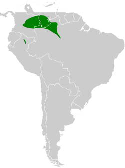 Distribución geográfica del hormiguerito de Cherrie.