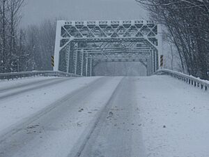 Archivo:NY59bridge
