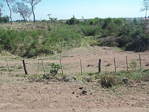 Archivo:Nogueira River in a estancia i