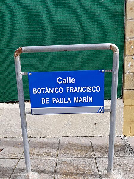 PaulamarinHawai2