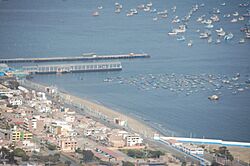 Playa La Caleta desde el Cerro de la Paz - DSC 0305.jpg