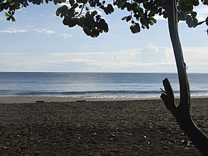 Playa Negra en Puerto Viejo de Talamanca