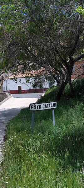 Poyo Catalán. Mayo 2025