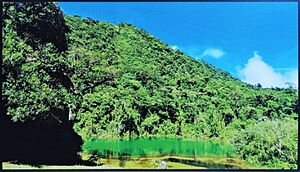 Archivo:Pozo verde