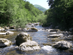 Río Nansa (Cantabria).PNG