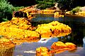 Rio Tinto 15