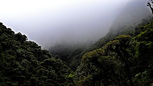 Archivo:Sehuencas - Parque Nacional Carrasco