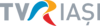 TVR Iași logo 2022.svg