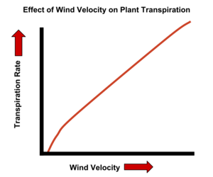 Archivo:Transpiration WindVelocity Graph
