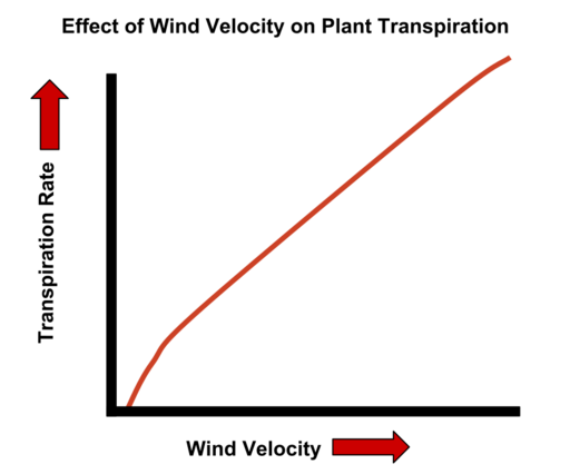 Archivo: Transpiration WindVelocity Graph
