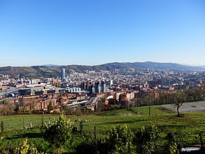 Archivo:Vista de Bilbao desde el monte Kobetas.