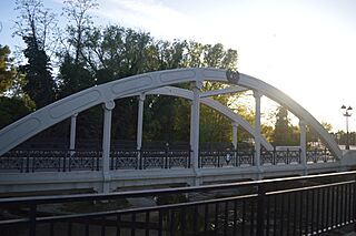 Vista del Puente de San Miguel.jpg
