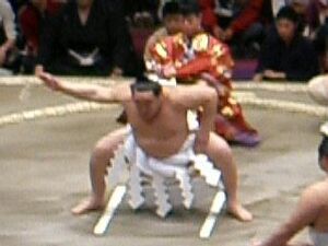 Archivo:Yokozuna-dohyou-iri-(Asasyouryuu)