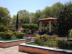 Zócalo - panoramio (1).jpg