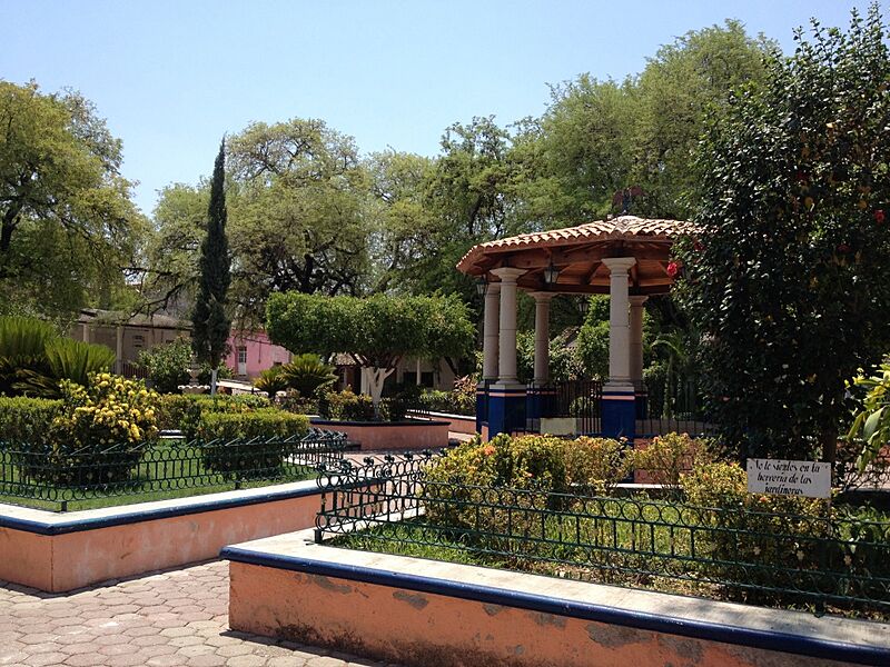 Zócalo - panoramio (1)