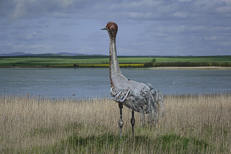 20250503 GALLOCANTA (10)-1