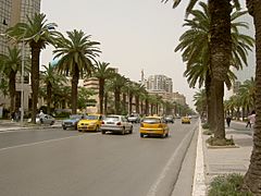 Avenue Mohammed V - Tunis 3