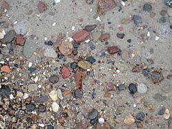 Archivo:Baltic beach sand containing amber