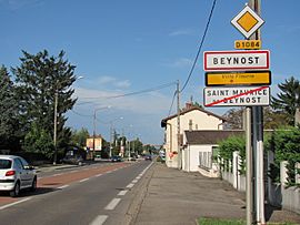Beynost, village fleuri.JPG
