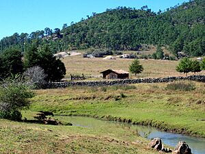 Archivo:Cabanatapalpa