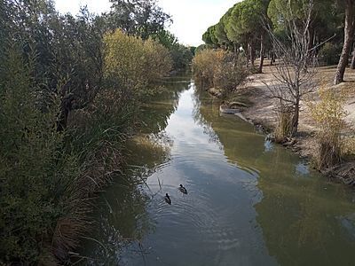 Archivo:Canal del Guadarrama en Navalcarbon 1