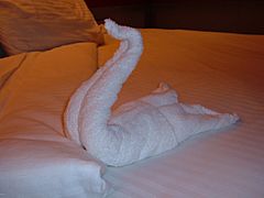 Carnival Sensation towel snake