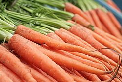 Archivo:Carrots