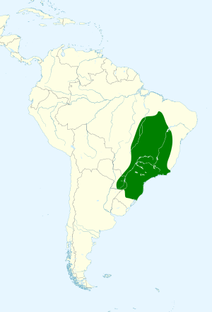 Archivo:Celeus flavescens map